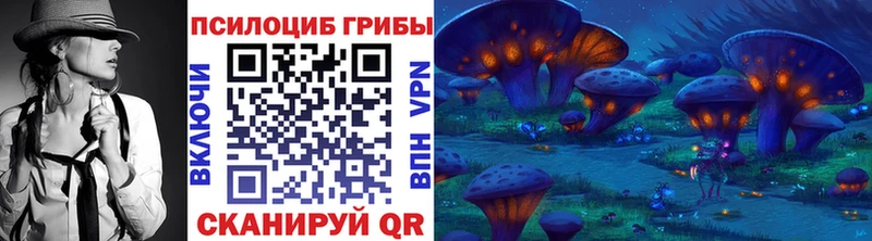 Галлюциногенные грибы Psilocybine cubensis  Купить где  Калач 